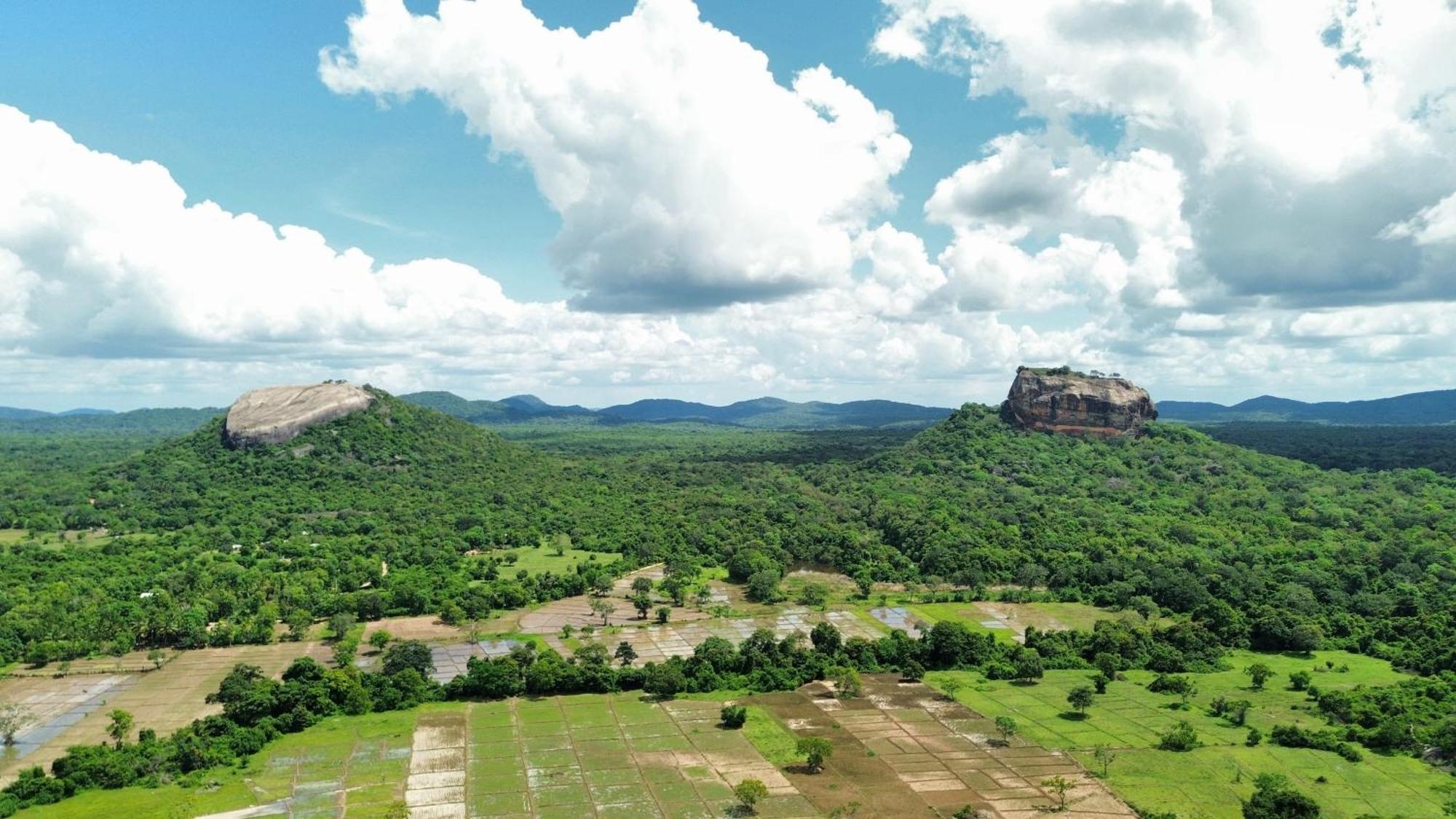 Sigiri Dilu Villa Sigiriya Exterior foto