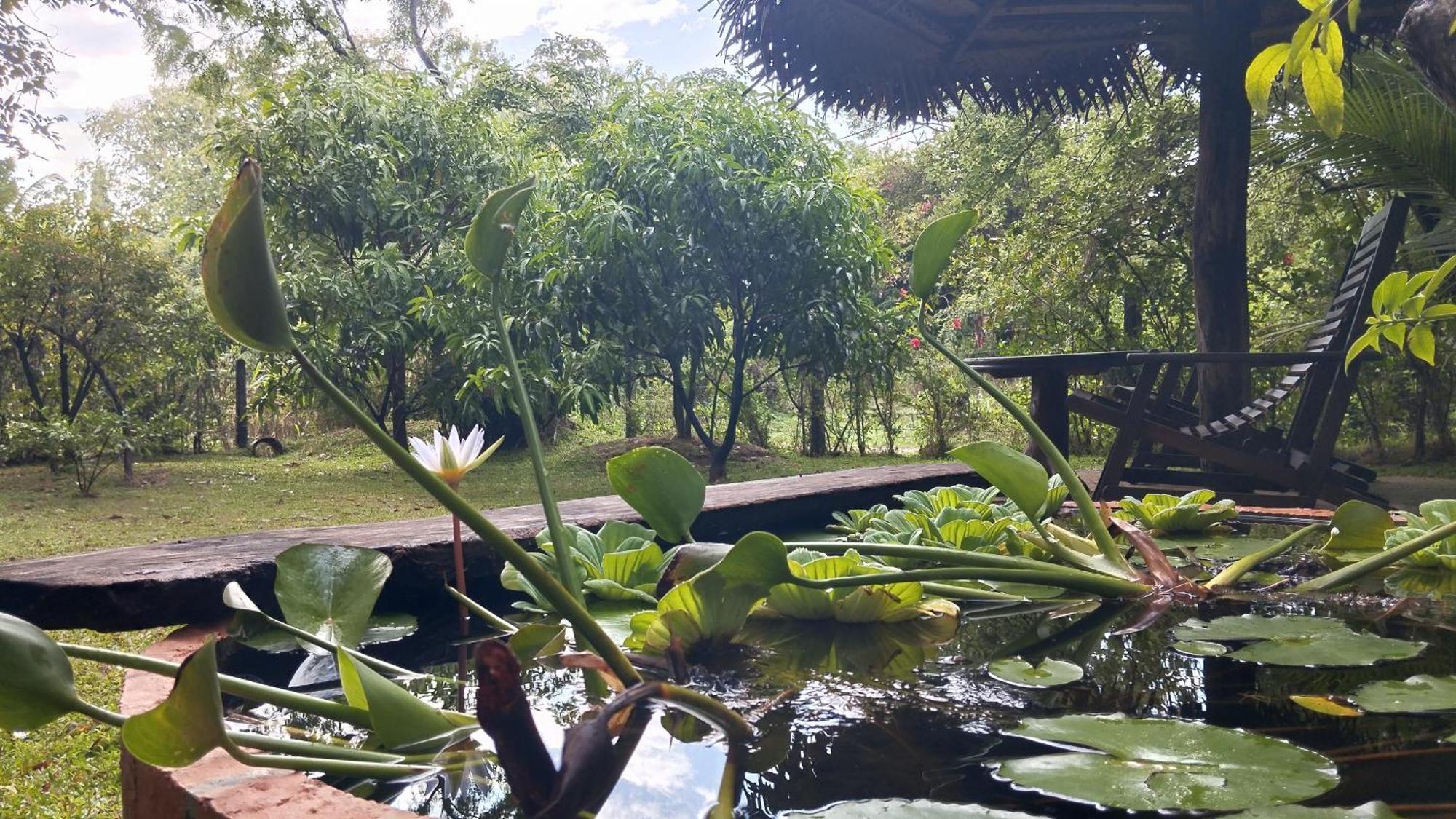 Sigiri Dilu Villa Sigiriya Exterior foto