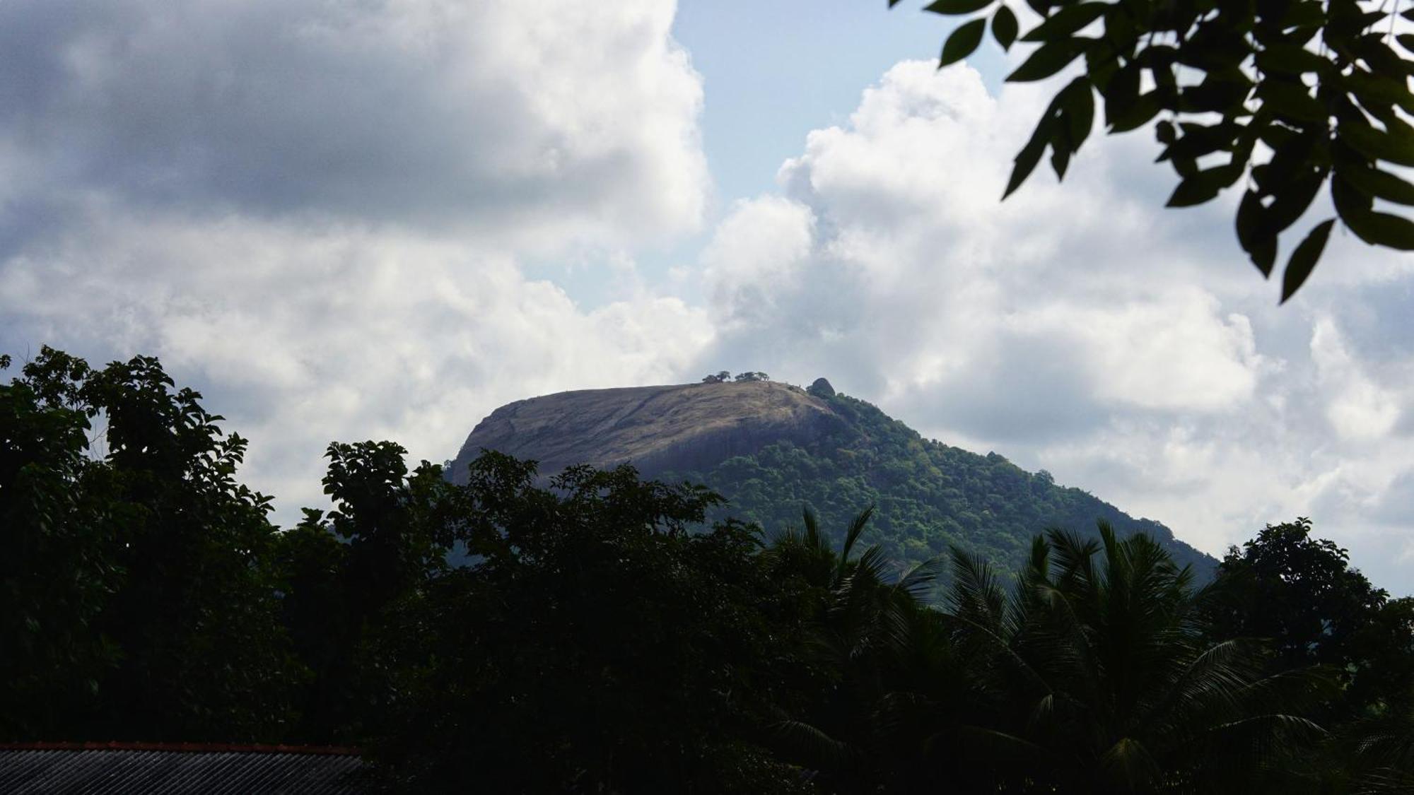 Sigiri Dilu Villa Sigiriya Exterior foto